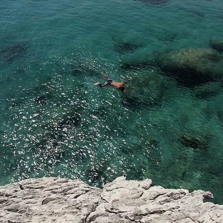 アパート Robinson Stevica